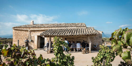 Bodegas auf Mallorca