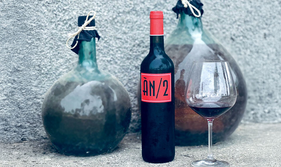 Rebstöcke auf der Bodega Anima Negra