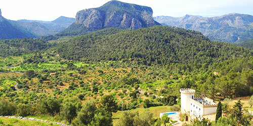 Weingut auf Mallorca