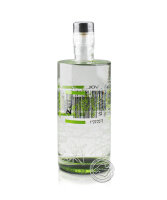 Mari Mayans Gin Premium de Ibiza 38 %, 0,7-l-Flasche