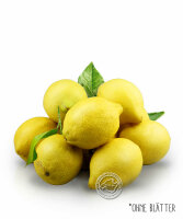 Zitronen aus Mallorca