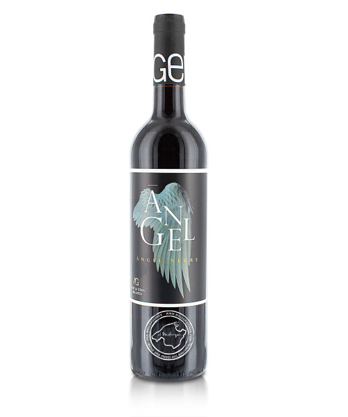 Angel Bodegas Negre, Vino Tinto 2019, 0,75-l-Flasche