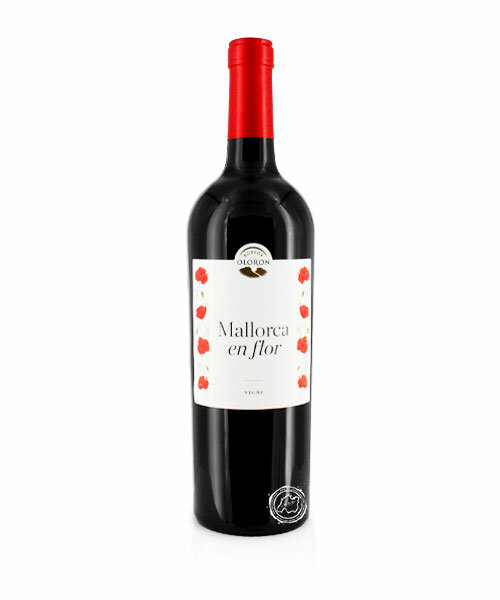 Bodega Oloron Negre, Vino Tinto 2022, 0,75-l-Flasche