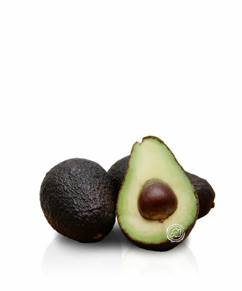 Avocado aus Mallorca