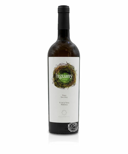 Santa Catarina Nguany Blanco, Vino Blanco 2023, 0,75-l-Flasche