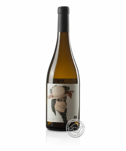 Vins Nadal 110 Sauvignon Blanc, Vino Blanco 2023, 0,75-l-Flasche