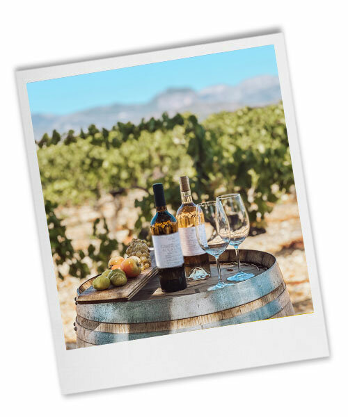 Wein und Tapas Erlebnis - Kleines Wein Projekt