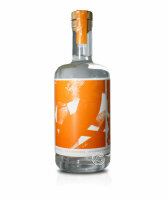 Gin Eva Citrus Gin La Canoneta 45°, 0,7-l-Flasche