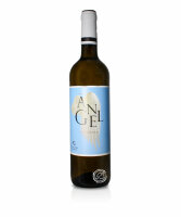 Angel Bodegas Viognier, Vino Blanco 2024, 0,75-l-Flasche