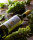 Biniagual Memòries Blanc, Vino Blanco 2024, 0,75-l-Flasche