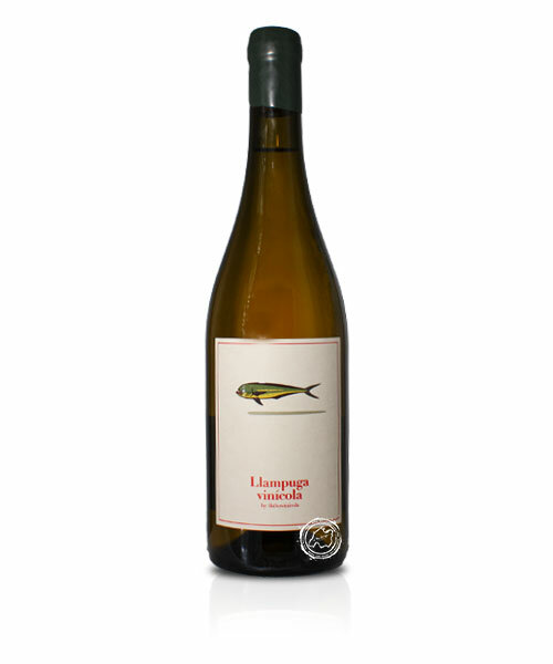4kilos Llampuga Blanc, Vino Blanco 2024, 0,75-l-Flasche