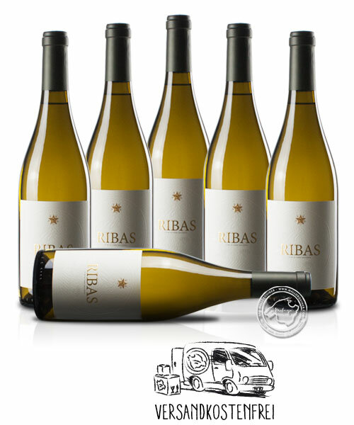6´er Set Ribas Blanc 2024