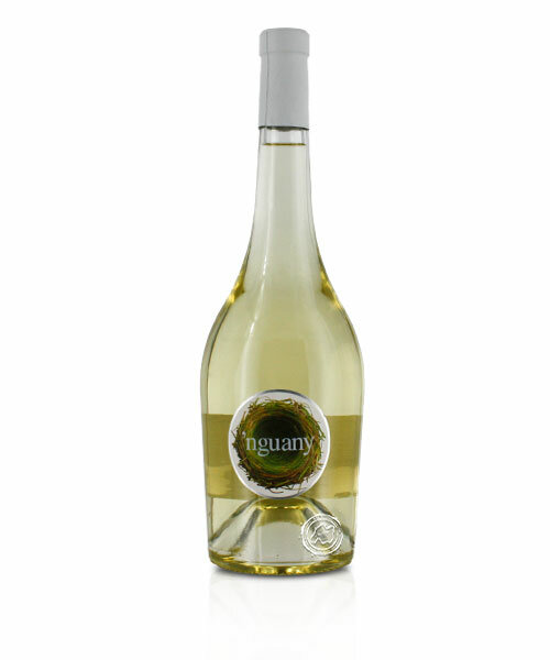 Santa Catarina Nguany Blanco, Vino Blanco 2025, 0,75-l-Flasche