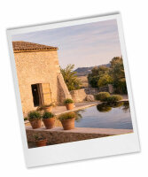Olive Mill Visit – Where Tradition Meets Innovation