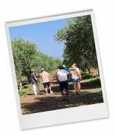 Olive Mill Visit – Where Tradition Meets Innovation