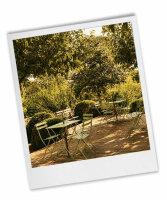 Olive Mill Visit – Where Tradition Meets Innovation
