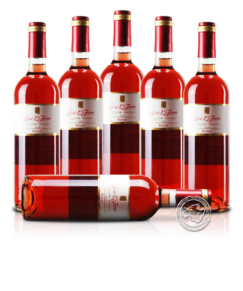 6er Set José L. Ferrer Rosado 2025