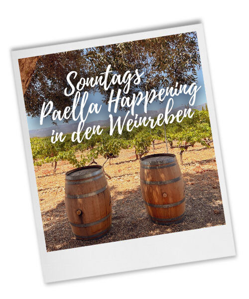 Sonntags Paella Happening in den Weinreben