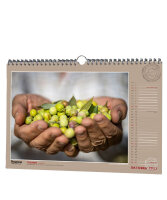 Der Mallorquiner Wandkalender 2027/28